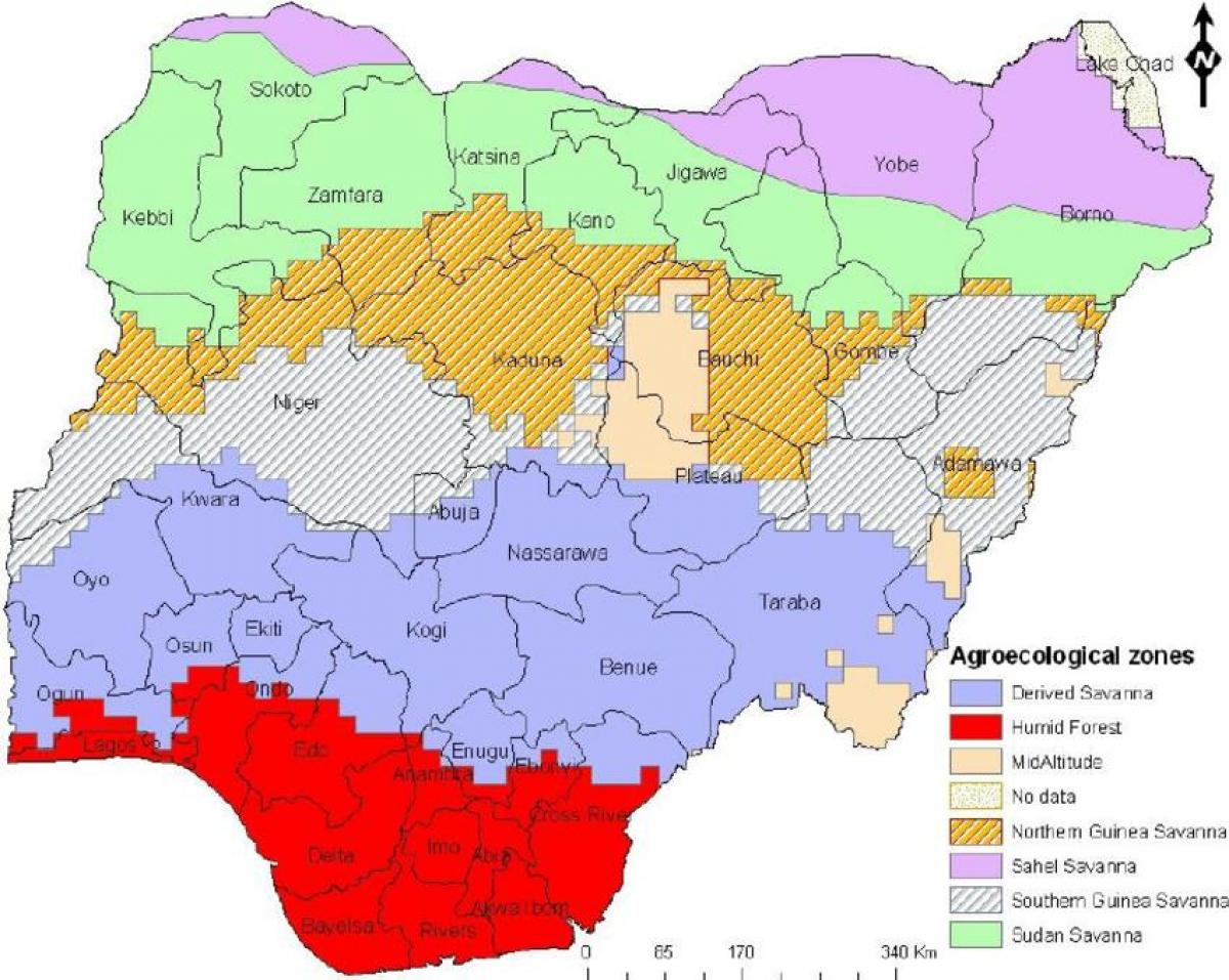рисовать на карте Нигерии с указанием зон растительности 