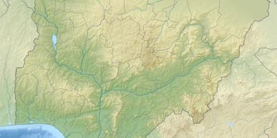 Карта Нигерии с указанием рельефа