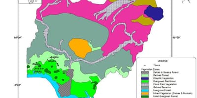 Карта Нигерии с указанием растительности